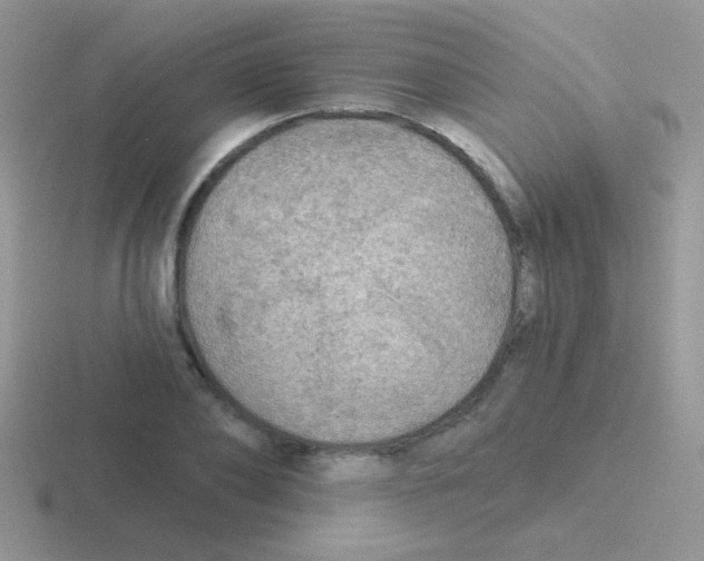 X0000116590886201001071232