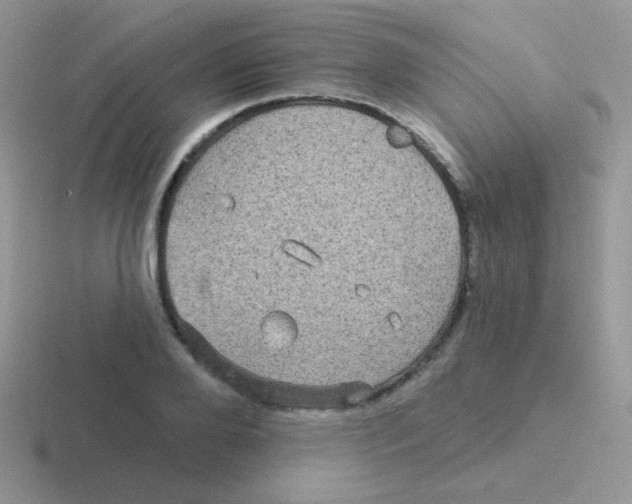 X0000116590888201001071232