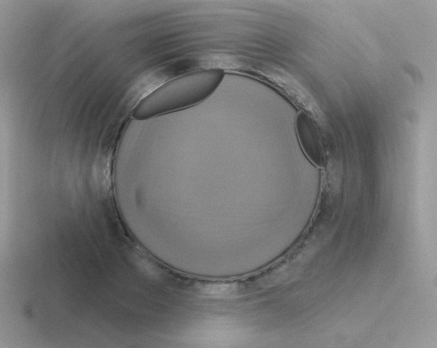 X0000116590889201001071232