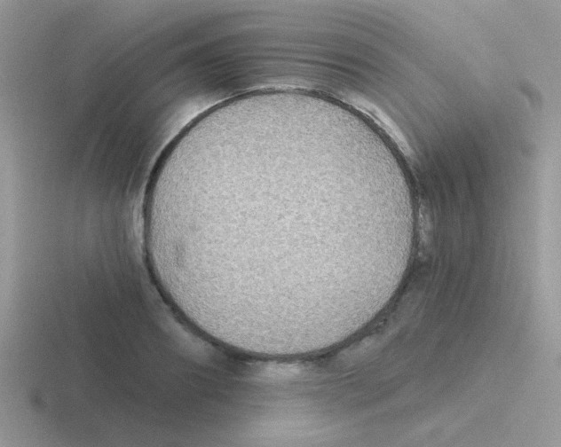 X0000116590890201001071232