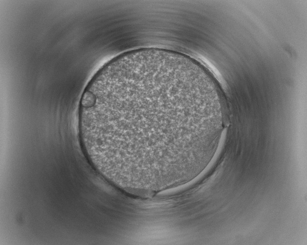 X0000116590891201001071232