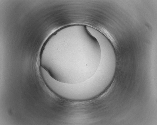 X0000116590892201001071231