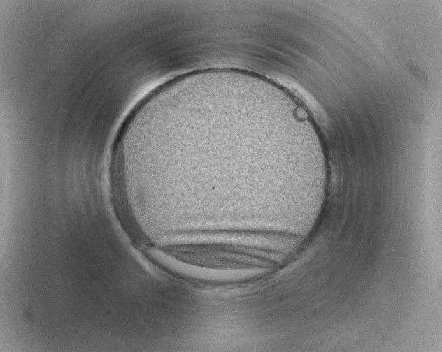 X0000116590894201001071231