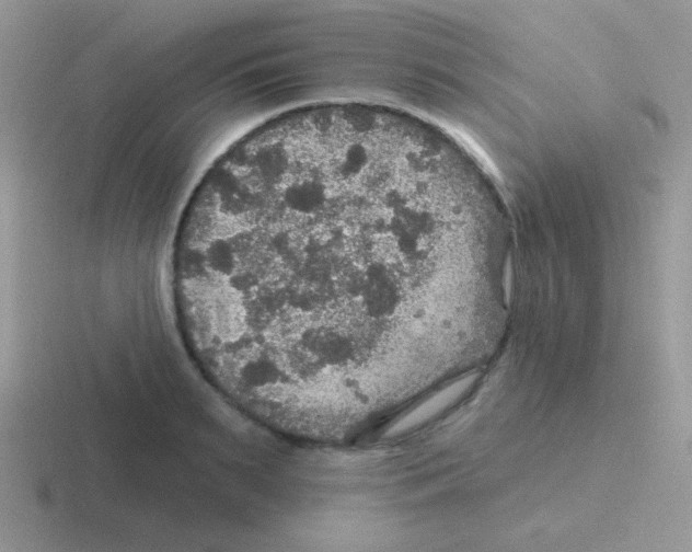 X0000116590895201001071231