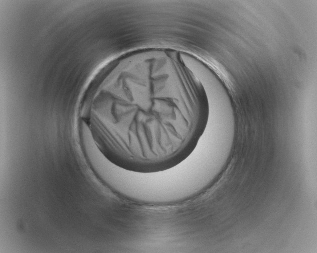 X0000116590896201001071231