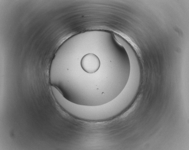 X0000116590897201001071231