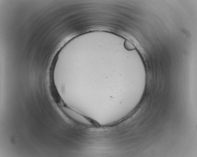 X0000116590898201001071231