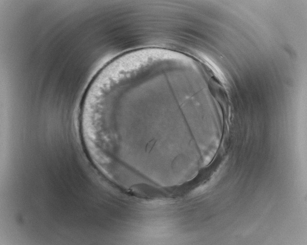 X0000116590899201001071231