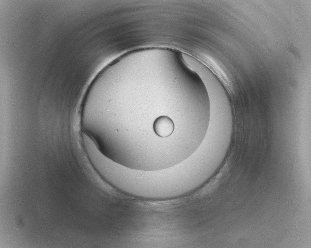 X0000116590900201001071231