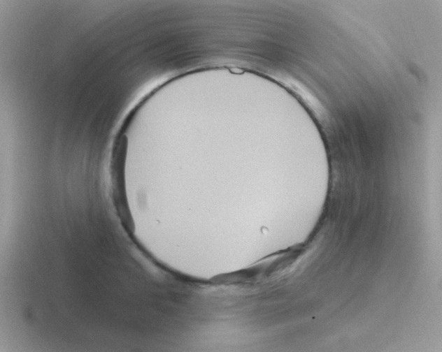 X0000116590902201001071231