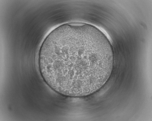 X0000116590903201001071231