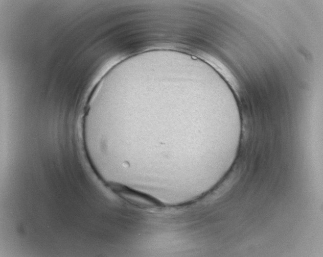 X0000116590906201001071231