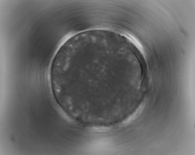 X0000116590907201001071231