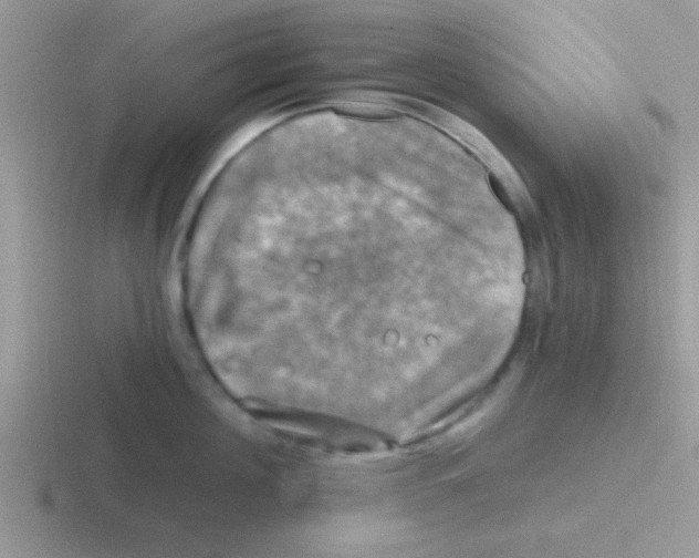 X0000116590908201001071231