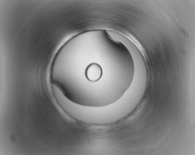 X0000116590909201001071231