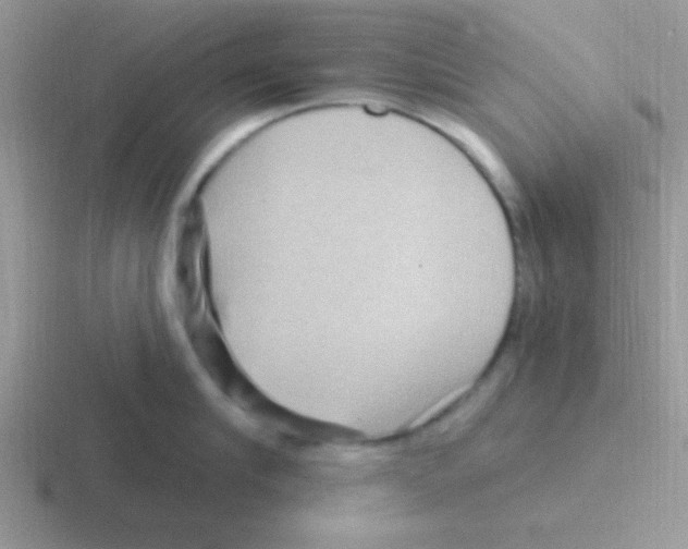 X0000116590910201001071231