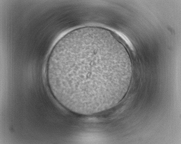 X0000116590911201001071231