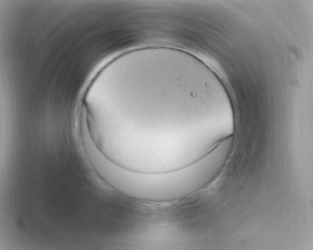 X0000116590912201001071231