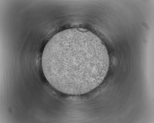 X0000116590914201001071231