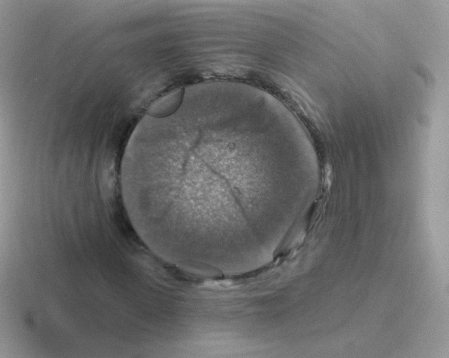 X0000116590915201001071231