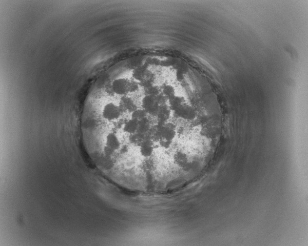 X0000116590917201001071231