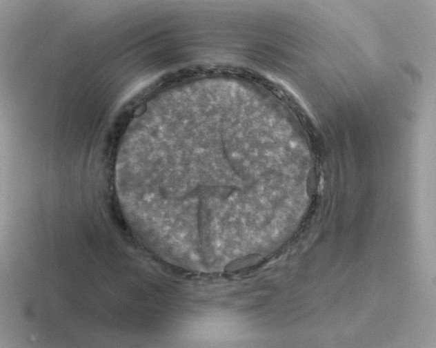 X0000116590919201001071231