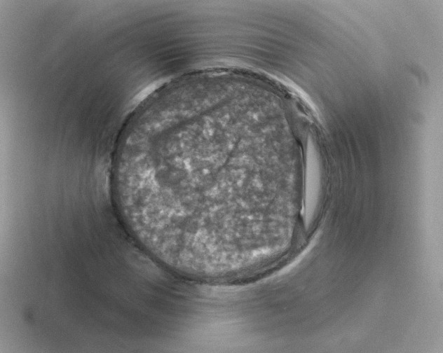 X0000116590921201001071231