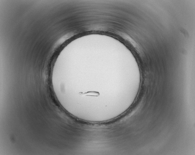 X0000116590922201001071231