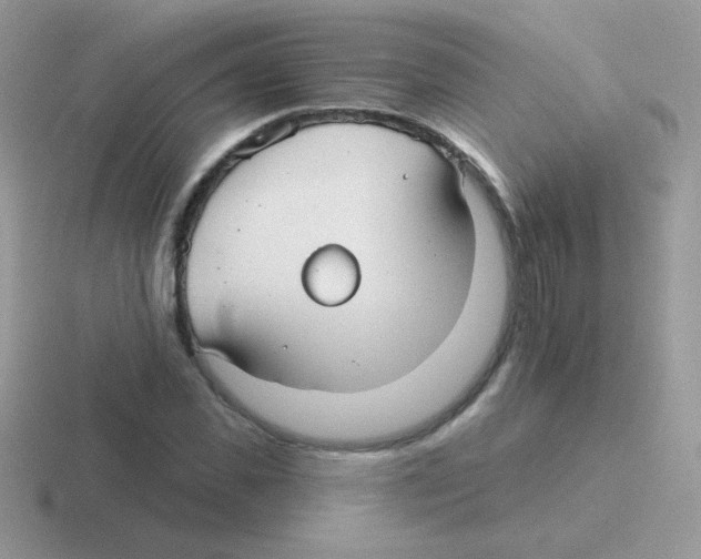 X0000116590925201001071231