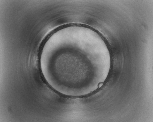 X0000116590926201001071231