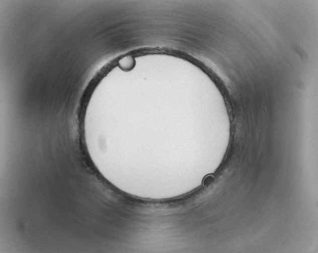 X0000116590927201001071231