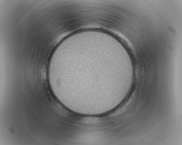 X0000116590929201001071231