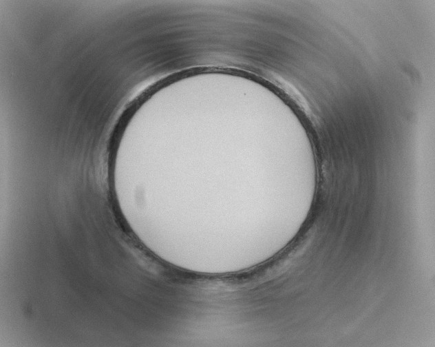 X0000116590931201001071231