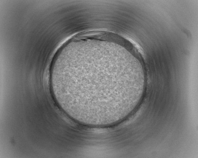 X0000116590933201001071231