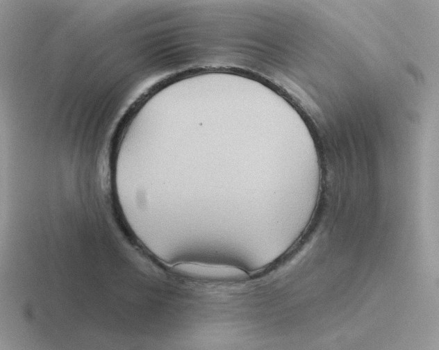 X0000116590934201001071231