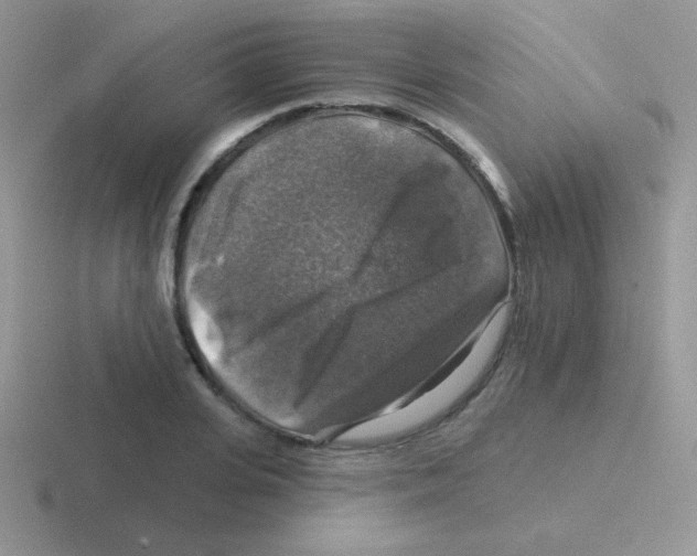 X0000116590935201001071231