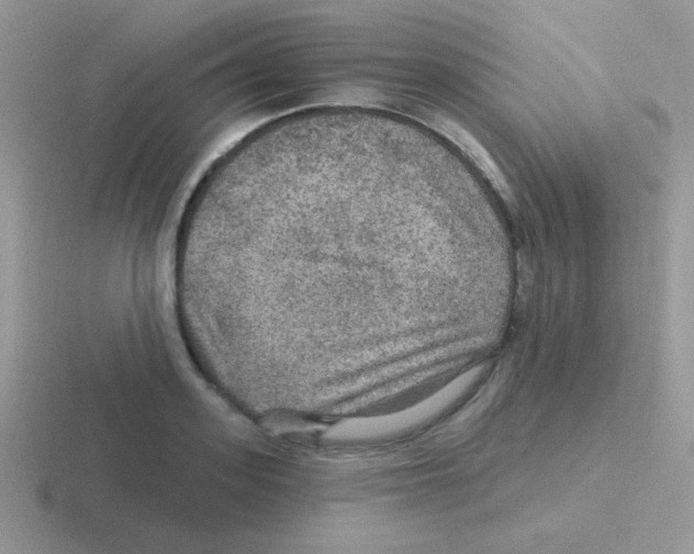 X0000116590939201001071231