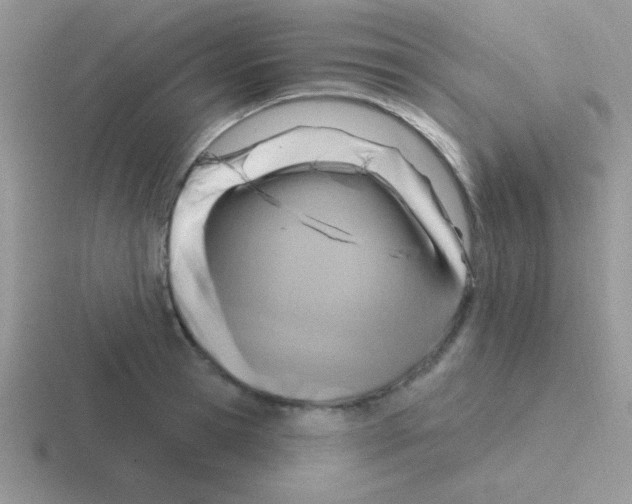 X0000116590945201001071231