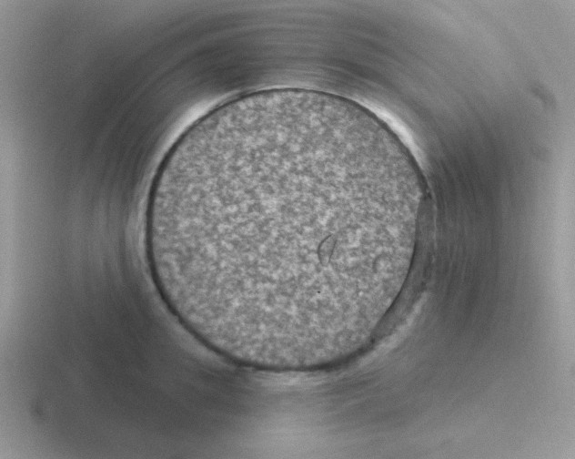 X0000116590949201001071231