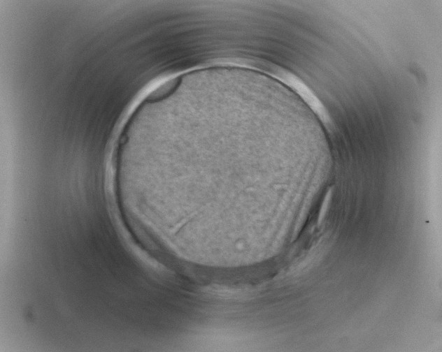 X0000116590955201001071231