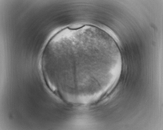 X0000116590958201001071231