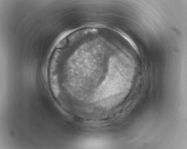 X0000116590959201001071231