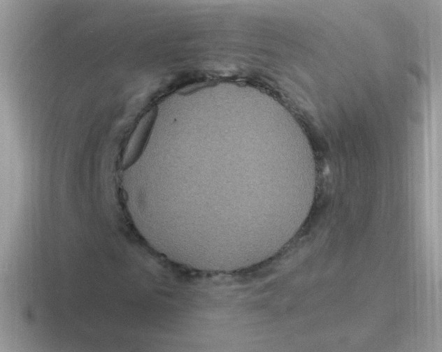 X0000116590961201001071231