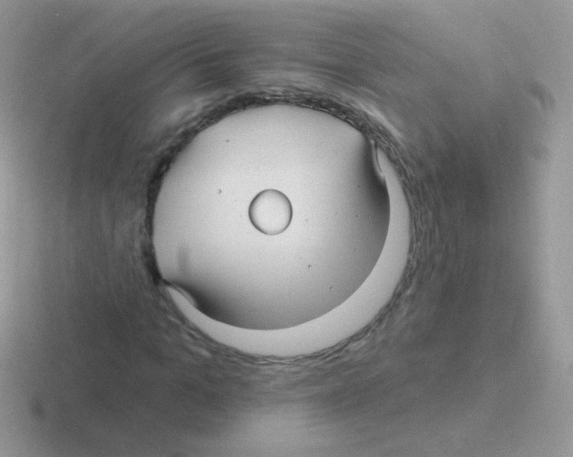 X0000116590965201001071231