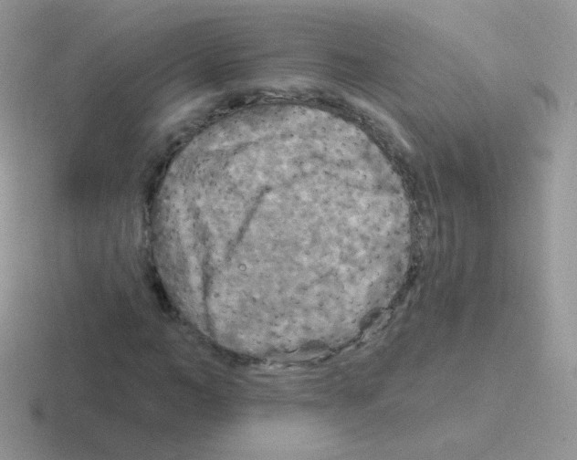 X0000116590966201001071231