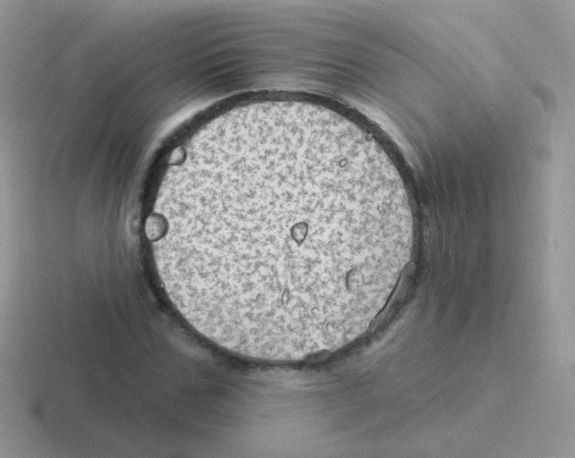 X0000116590971201001071230