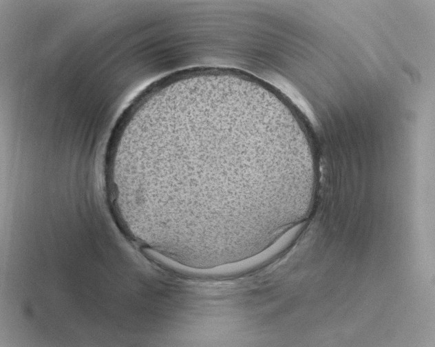 X0000116590972201001071230