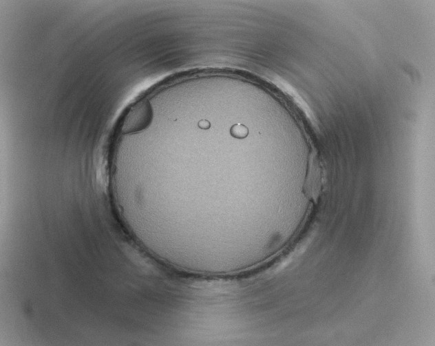 X0000116590973201001071230