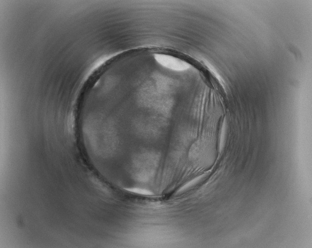 X0000116590975201001071230