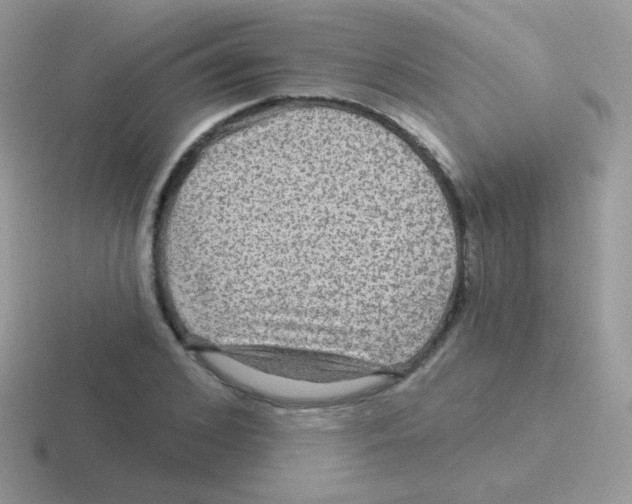 X0000116590976201001071230